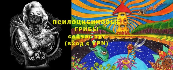 крисы Алзамай