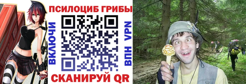что такое   Красноуфимск  Галлюциногенные грибы Psilocybe 